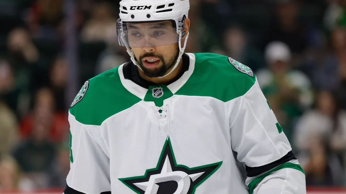 Dumba ends NHL career after 13 seasons