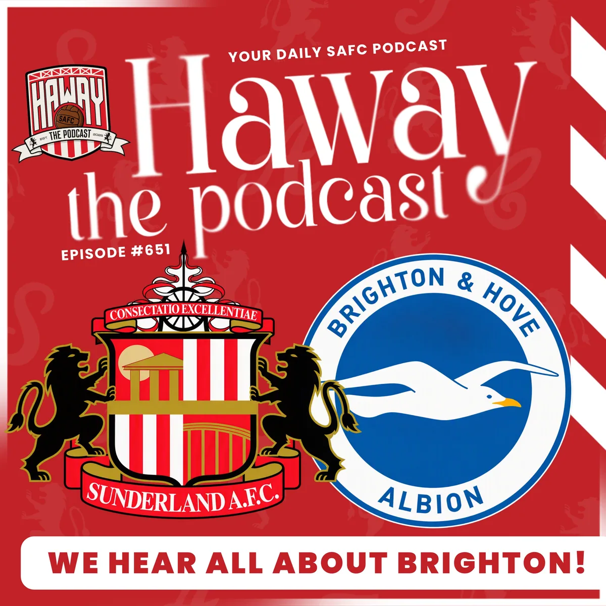 brighton manager discusses transfer activity
