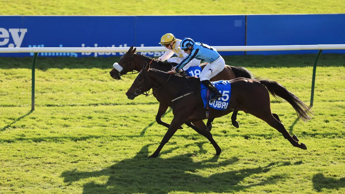 Alphonse Le Grande Wins Cesarewitch Twice