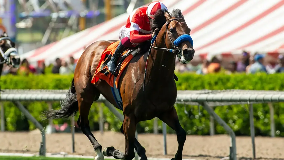 Santa Anita Saturday: Down The Hill in the Flag