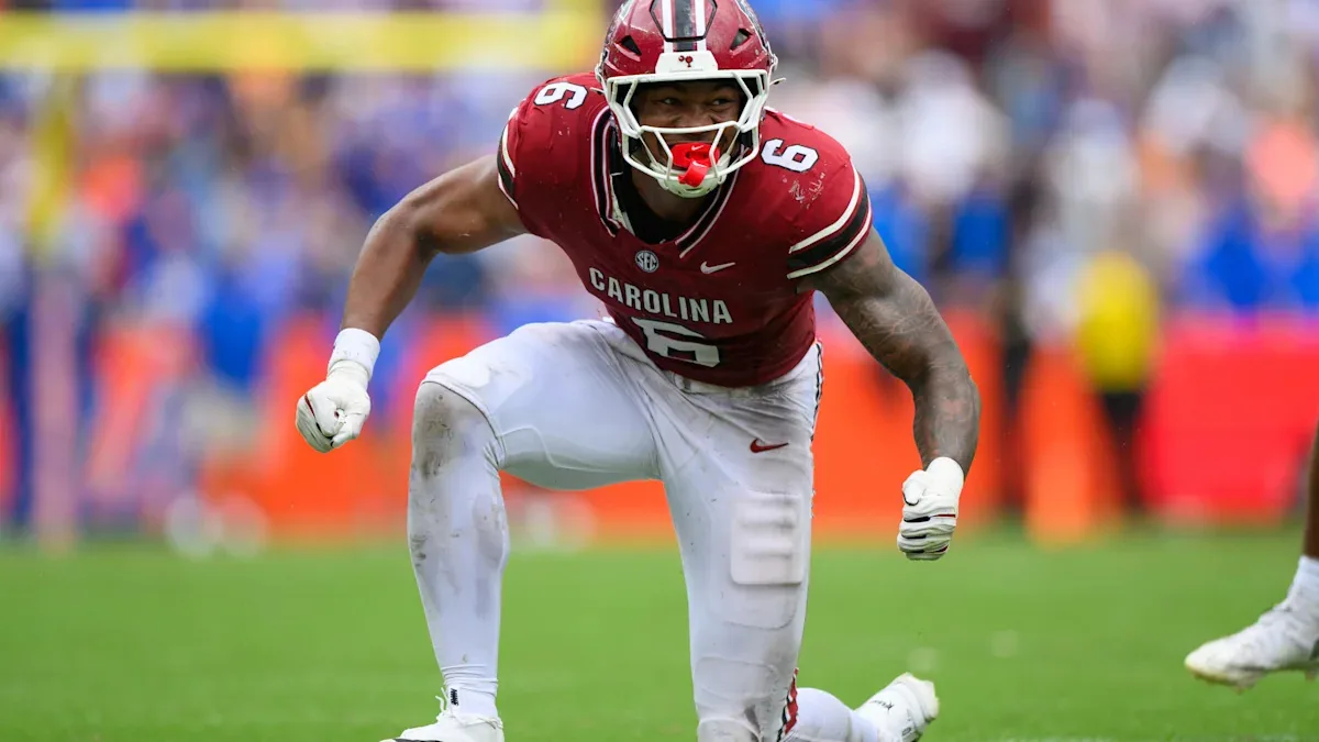 Stewart returns, fumbles for South Carolina