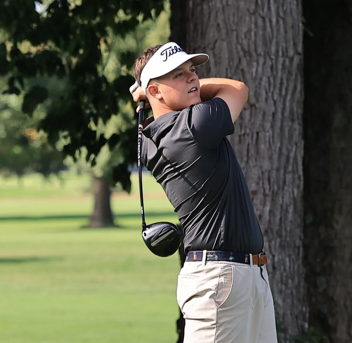 Wayble advances to state golf final