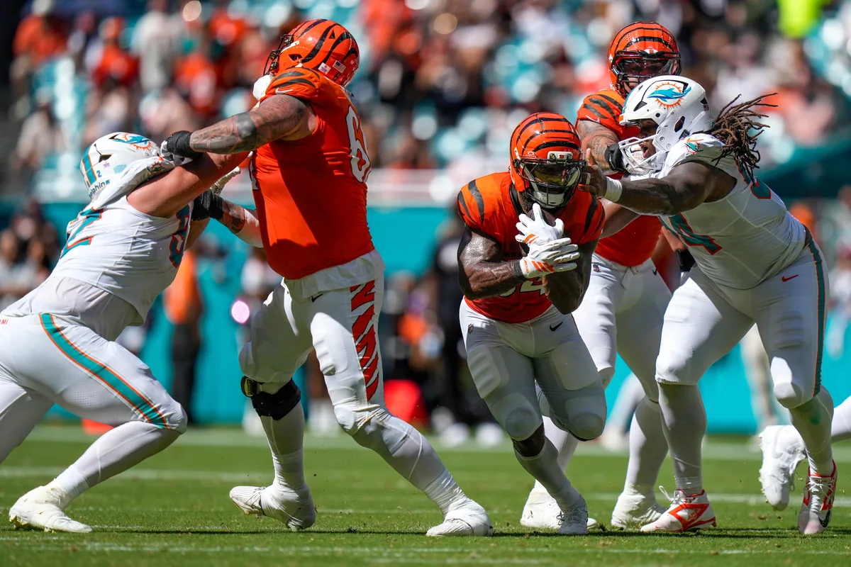 bengals lose to dolphins in week 12