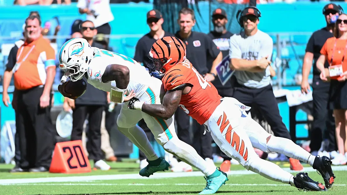 Dolphins coach confident in team identity